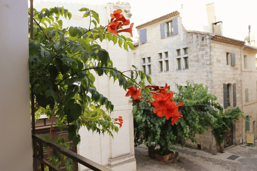 Appartement centre historique d'Uzès, conciergerie calla